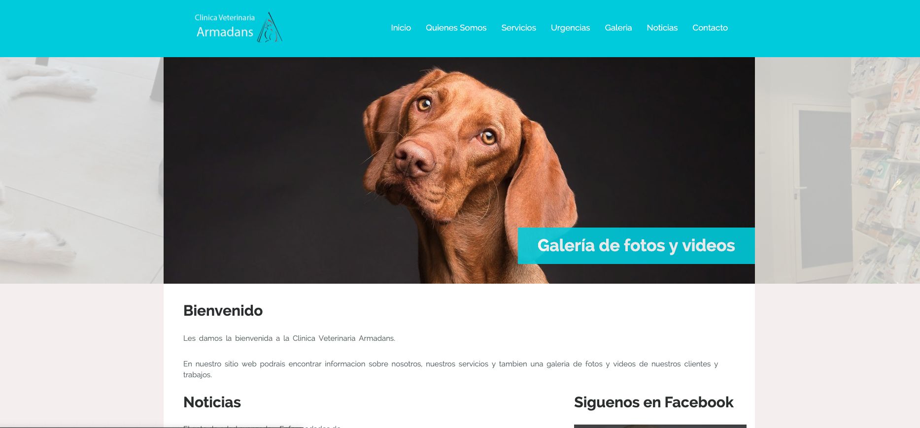 La página de inicio de clinicarmadans.es en 2020
